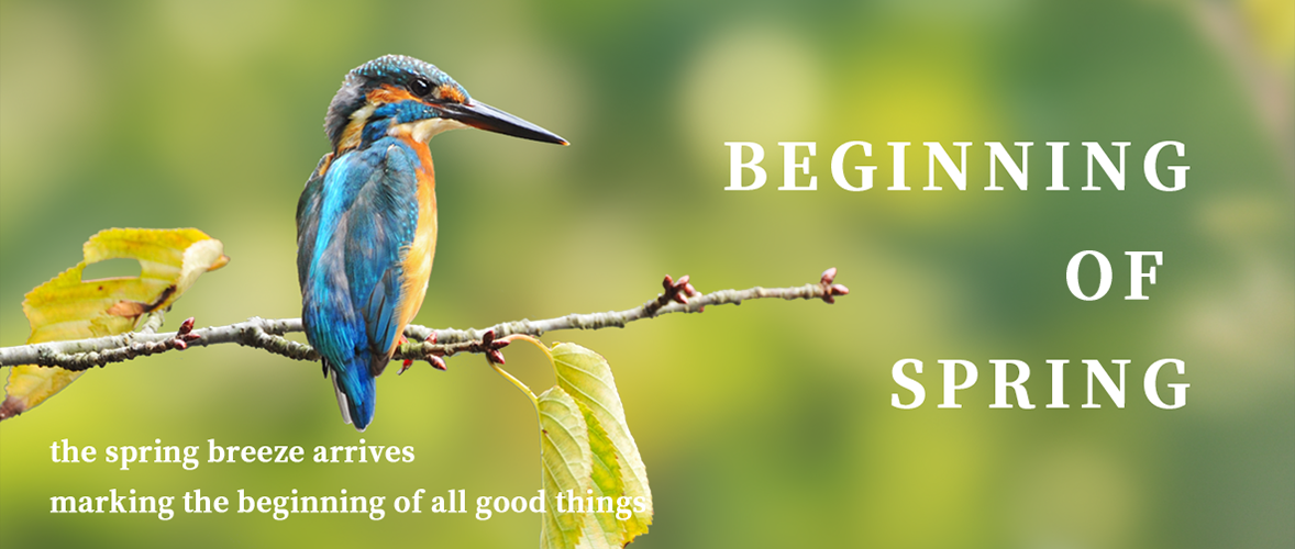 Renewal at the Beginning of Spring, Embark on a Green Journey
